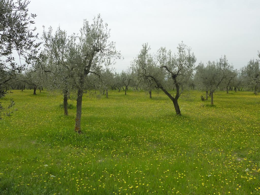 בית הארחה קאמפלו סול קליטונו 	Relais Al Convento מראה חיצוני תמונה